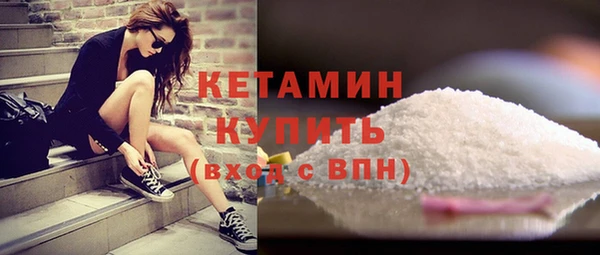 шишки Надым