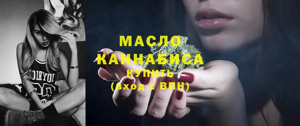 шишки Надым