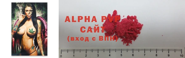 шишки Надым