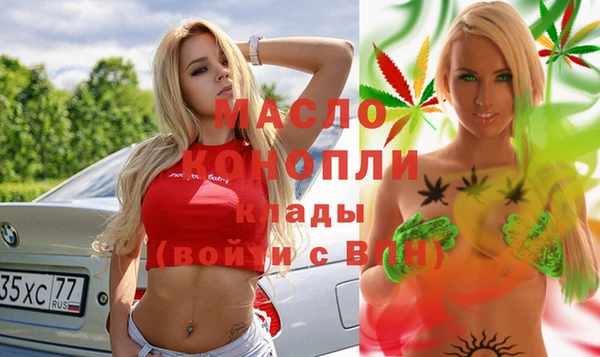 шишки Надым