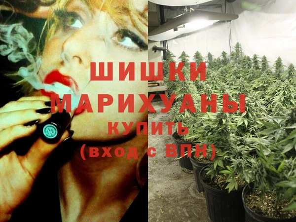 Альфа ПВП Нея