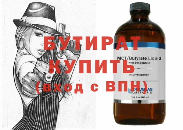 шишки Надым