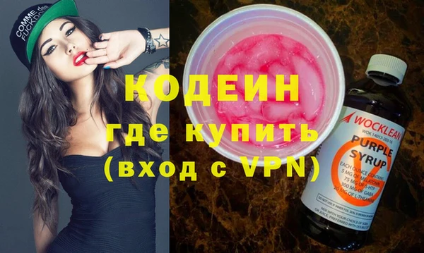 шишки Надым