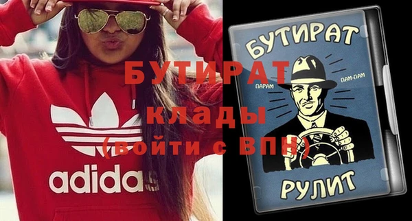 шишки Надым
