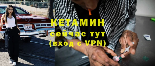 шишки Надым