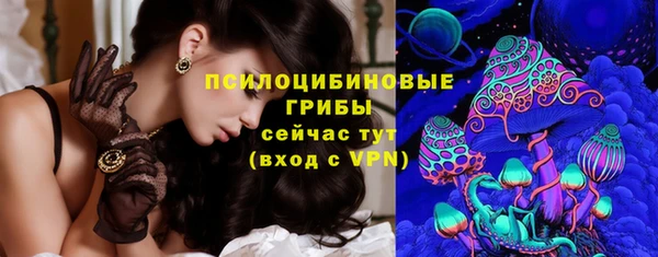 шишки Надым