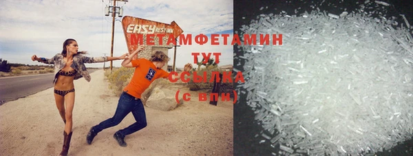 шишки Надым