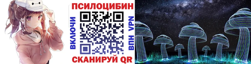 Галлюциногенные грибы прущие грибы  Ардатов 